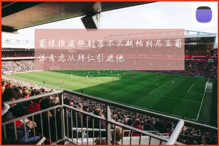 葡媒报道热刺若不买断帕利尼亚葡体考虑从拜仁引进他